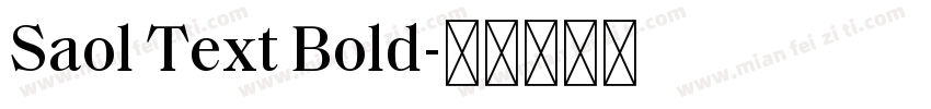Saol Text Bold字体转换